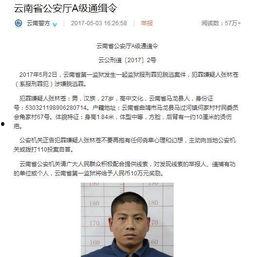 张林最新爆料视频大全,揭秘背后惊人真相